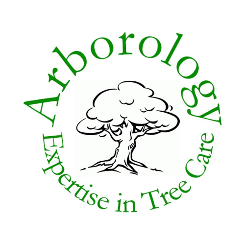 Arborology